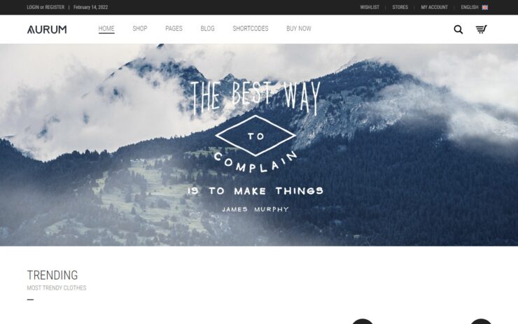 Fastestwoocommerce Aurum Theme