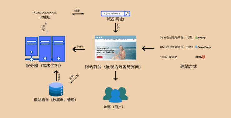 一张图了解一个网站的基本结构